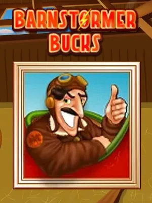 Barnstormer Bucks