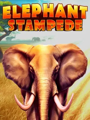 Elephant Stampede