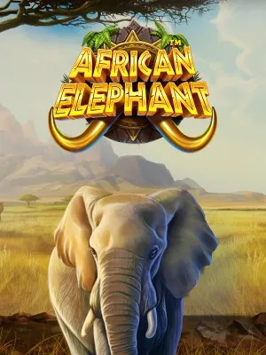African Elephant