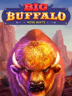 Big Buffalo
